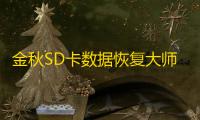 金秋SD卡数据恢复大师